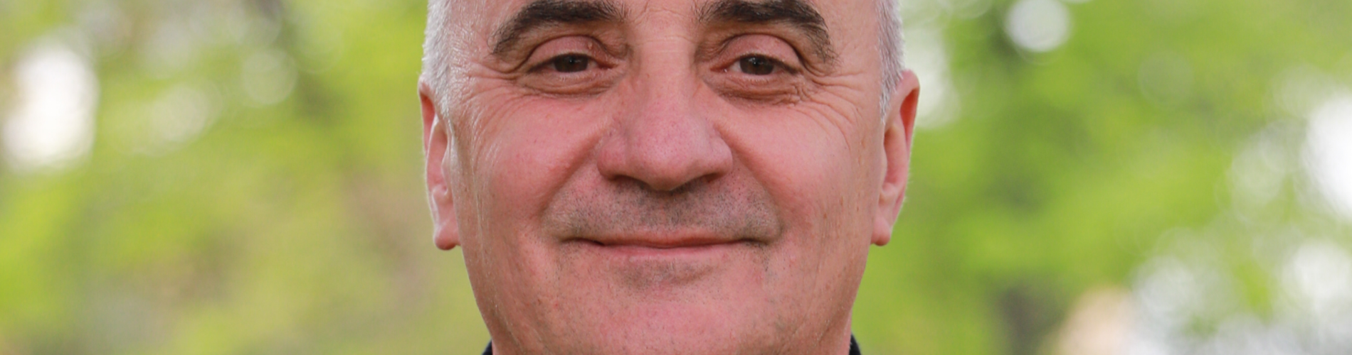 Immagine di Vice Presidente